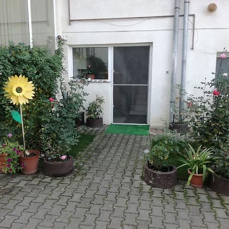 Vila Nely Rîşnov 외부 사진