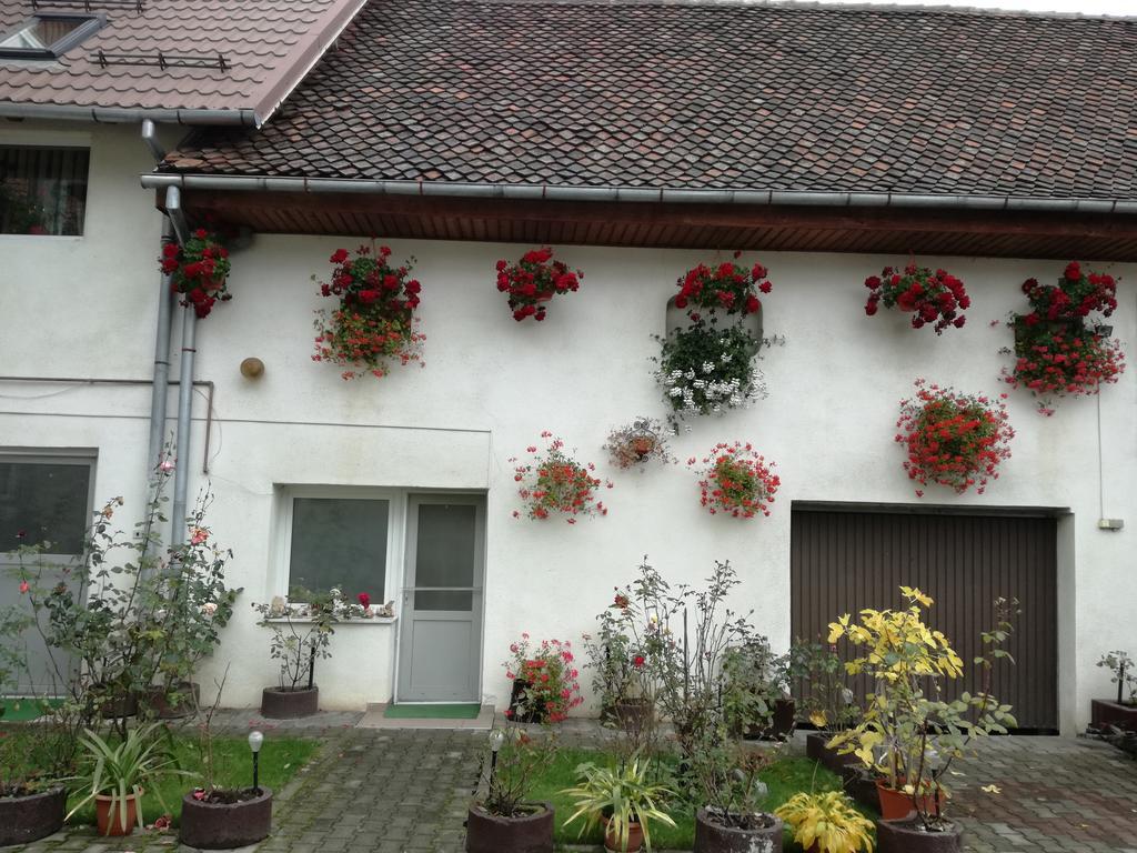 Vila Nely Rîşnov 외부 사진