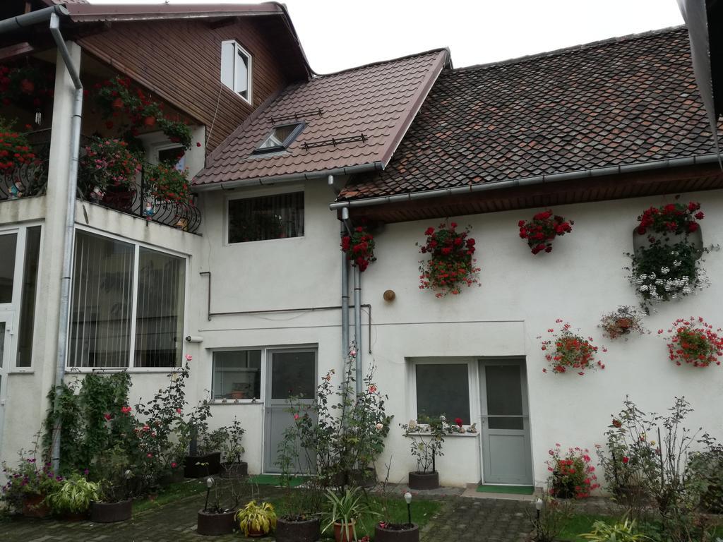 Vila Nely Rîşnov 외부 사진