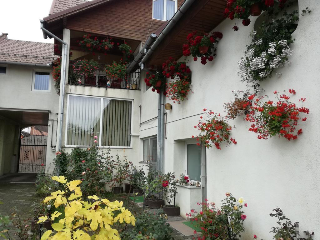 Vila Nely Rîşnov 외부 사진