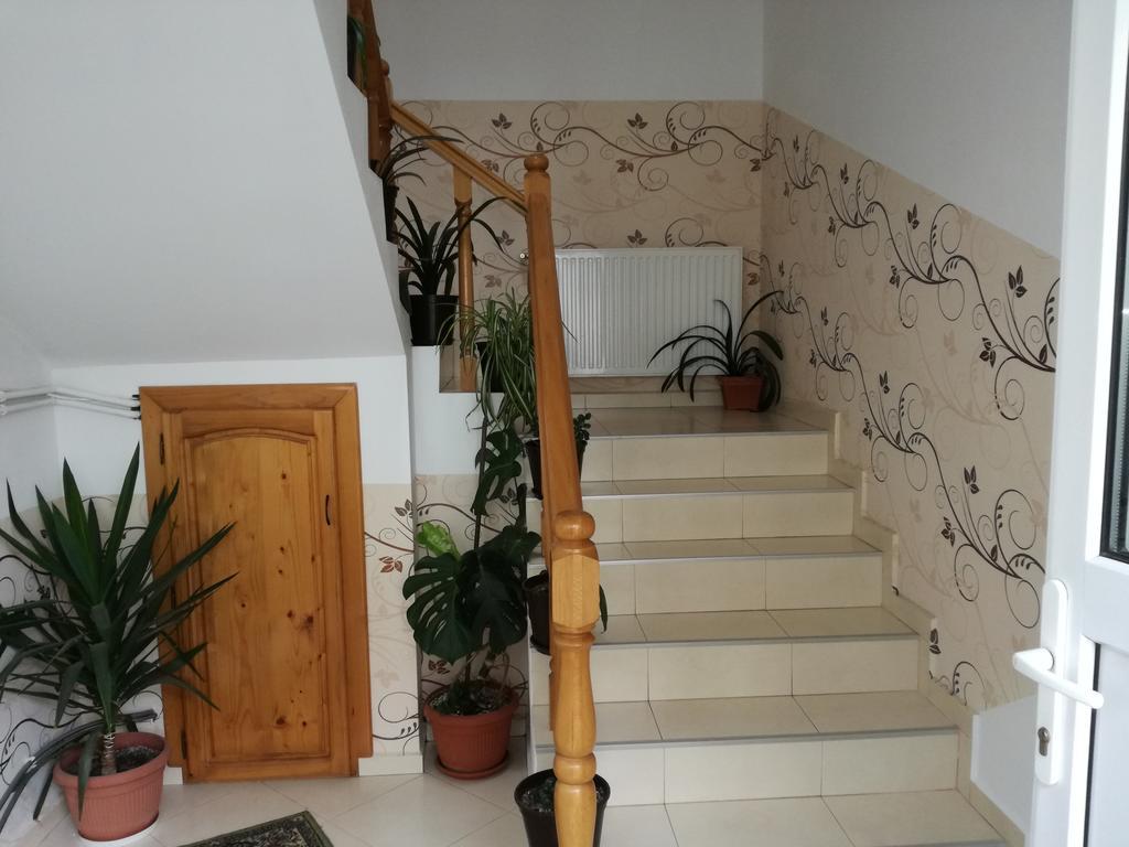 Vila Nely Rîşnov 외부 사진