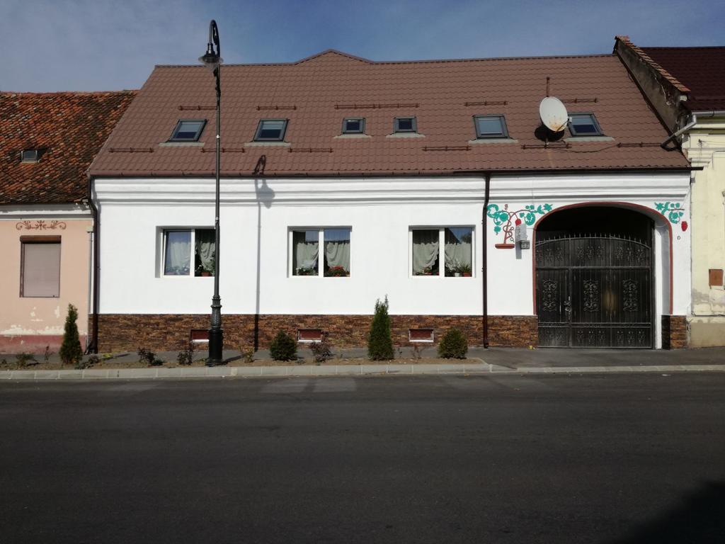 Vila Nely Rîşnov 외부 사진